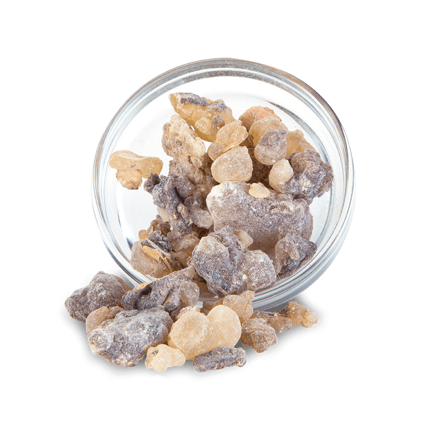 Frankincense Resins – GOJUNO